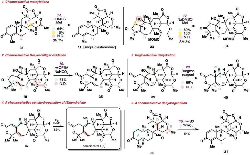 20250211-JACS-李超-2. 多步化学选择性和区域选择性转化的突破。.jpg