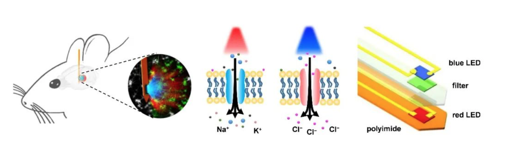 20220211-科研新闻-盛兴-图1 ；.png