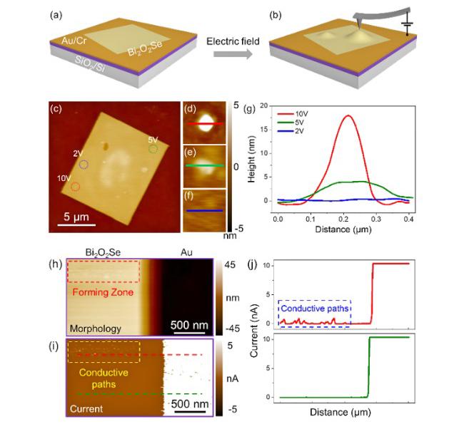 20210902-陈文骏-循环电场下二维Bi2O2Se表面纳米山丘状结构和导电通路的形成-国际院.jpg