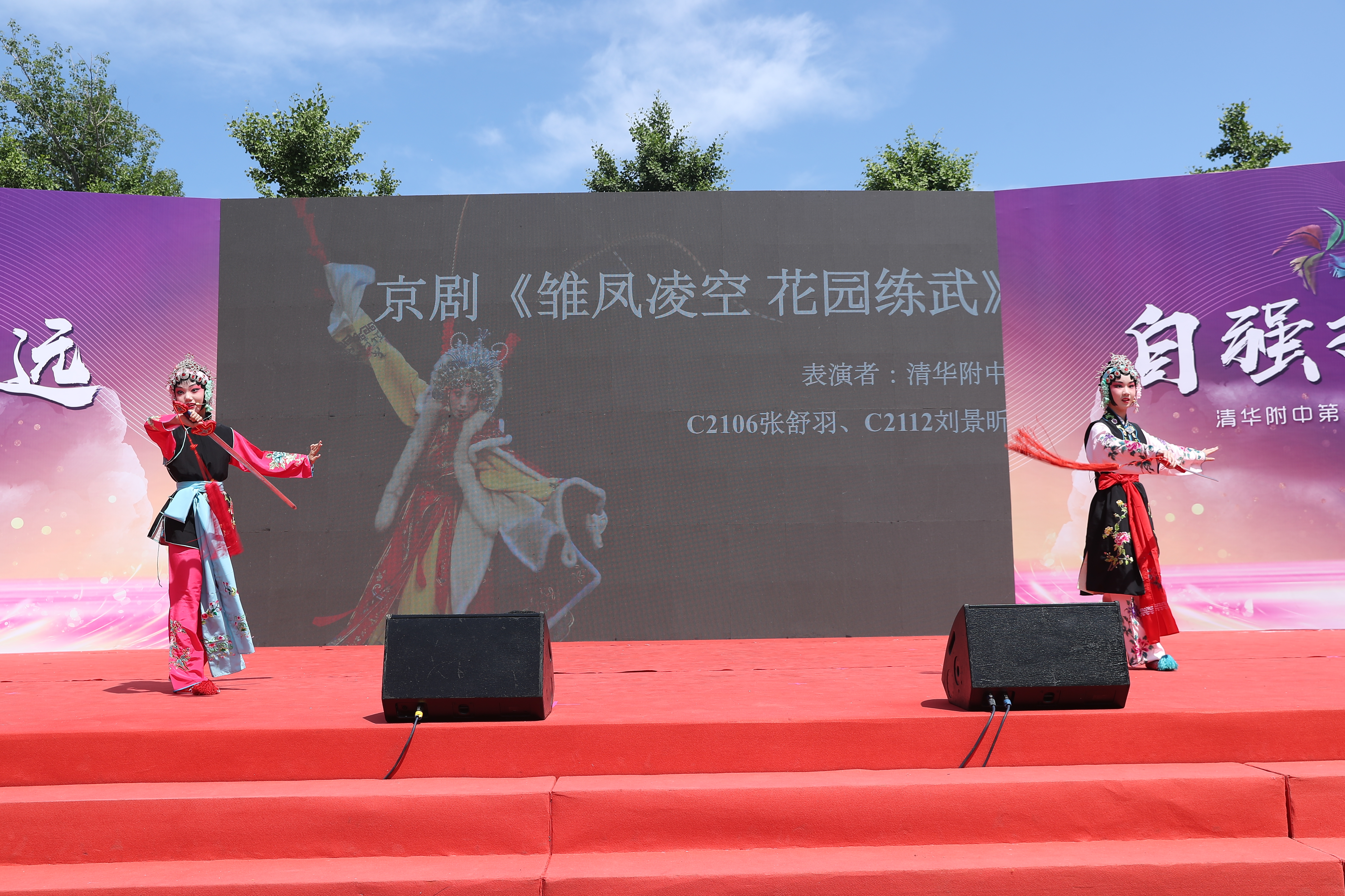 图21京剧《雏凤凌空 花园练武》.JPG