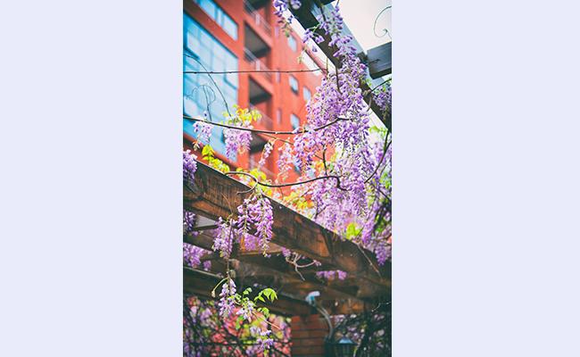 空白背景1new - 副本 (3).jpg